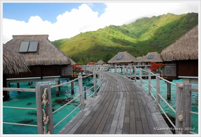 Moorea020.JPG